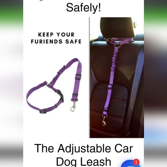 Pet leash for car - Picture 3 of 3